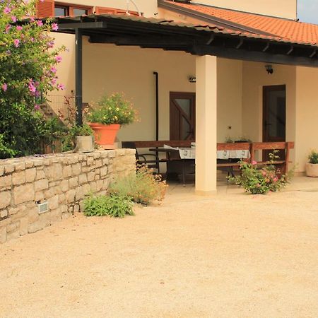 Apartman Robi Nova Vas  Zewnętrze zdjęcie