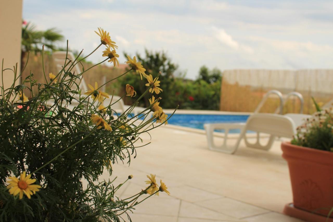 Apartman Robi Nova Vas  Zewnętrze zdjęcie