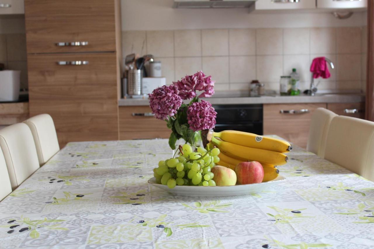 Apartman Robi Nova Vas  Zewnętrze zdjęcie
